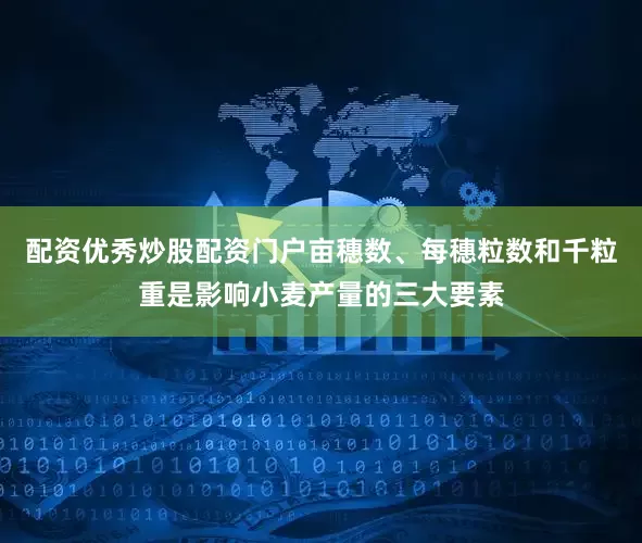 配资优秀炒股配资门户亩穗数、每穗粒数和千粒重是影响小麦产量的三大要素